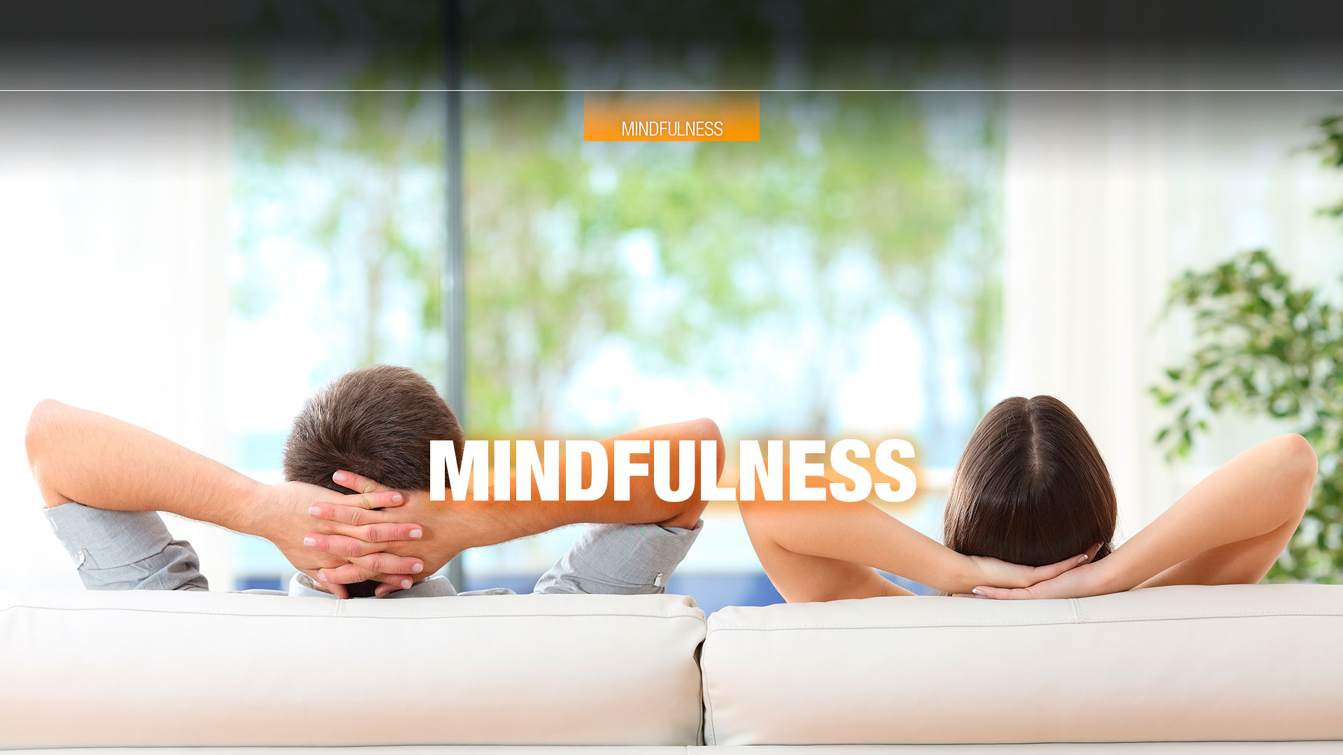  Formación online |  MINDFULNESS